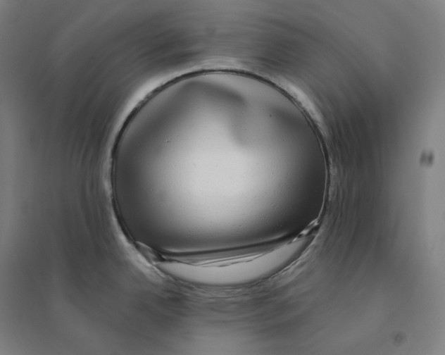 X0000094461342200712061215