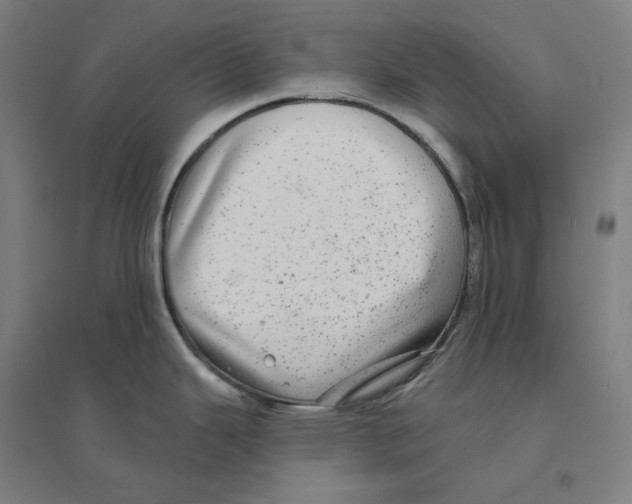 X0000094461343200712061215