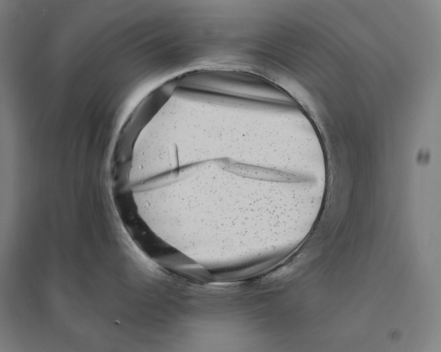 X0000094461344200712061215