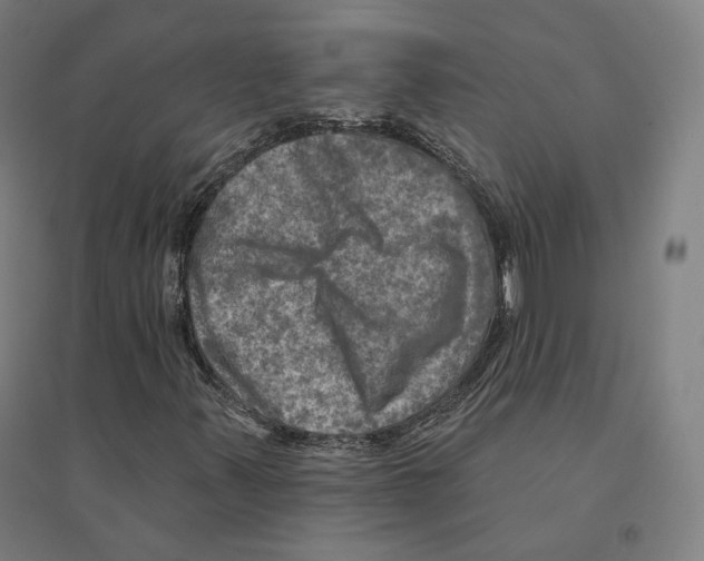 X0000094461347200712061214