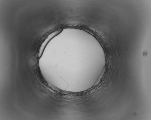 X0000094461349200712061214