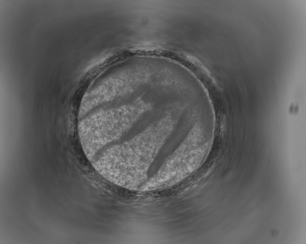 X0000094461350200712061214