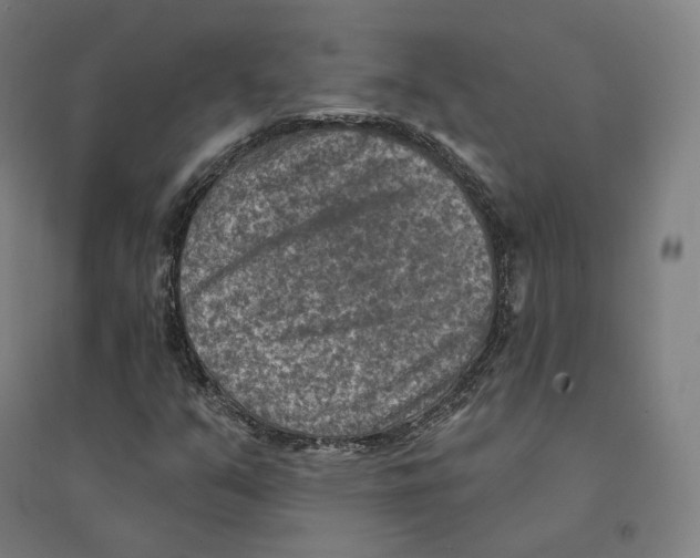 X0000094461351200712061214