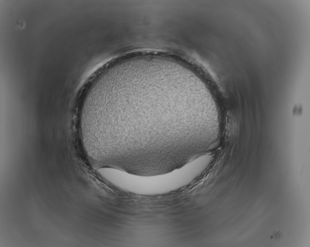 X0000094461352200712061214