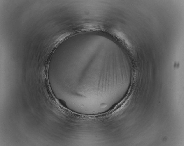 X0000094461353200712061214