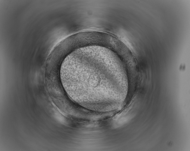 X0000094461356200712061214