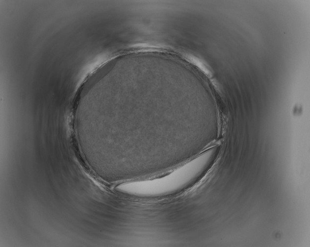 X0000094461357200712061214