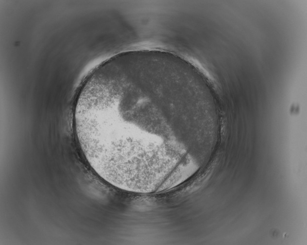 X0000094461358200712061214