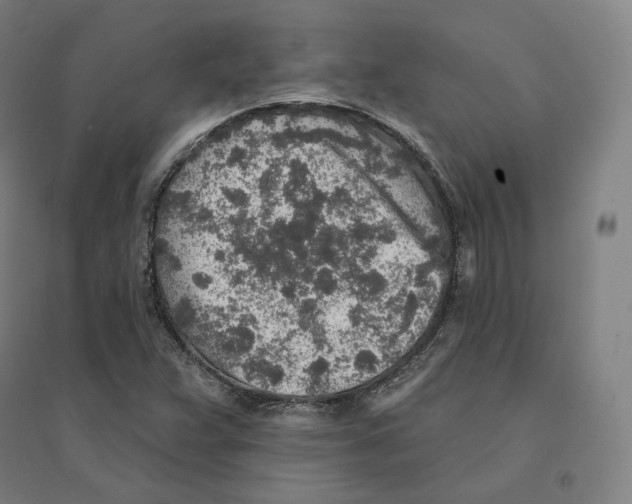 X0000094461359200712061214