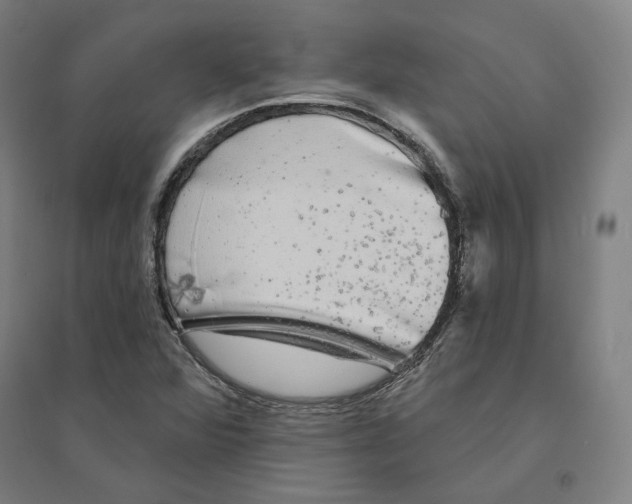 X0000094461360200712061213