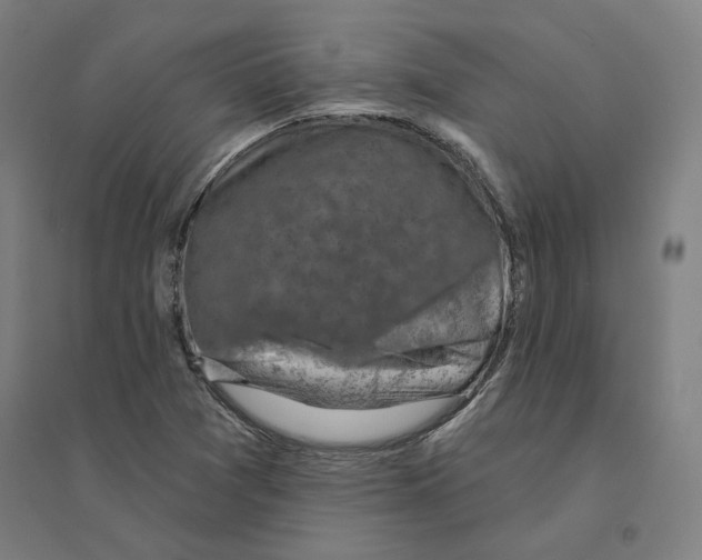 X0000094461361200712061213