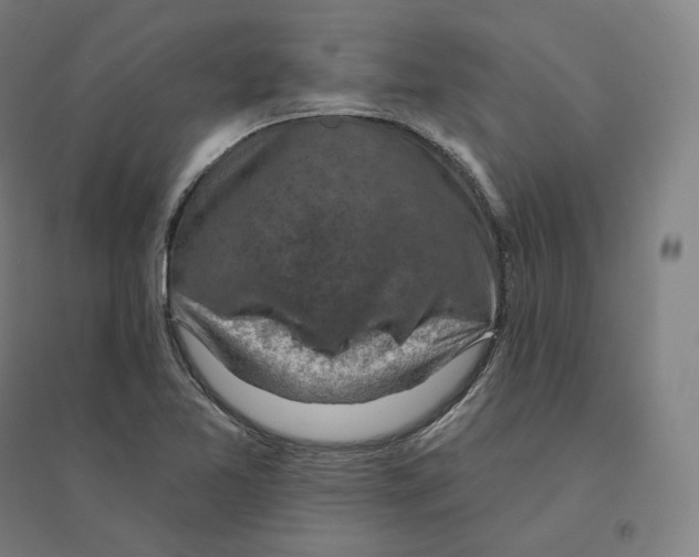 X0000094461365200712061213