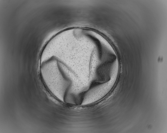 X0000094461366200712061213