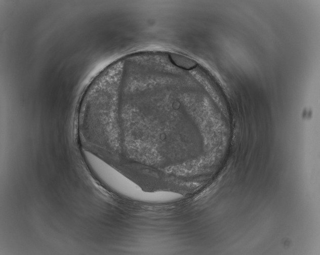 X0000094461367200712061213