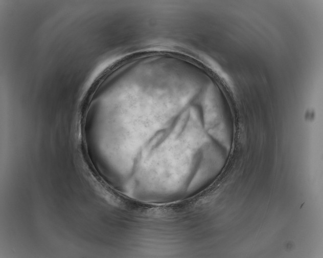 X0000094461368200712061213