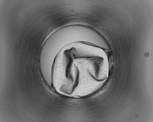 X0000094461369200712061213