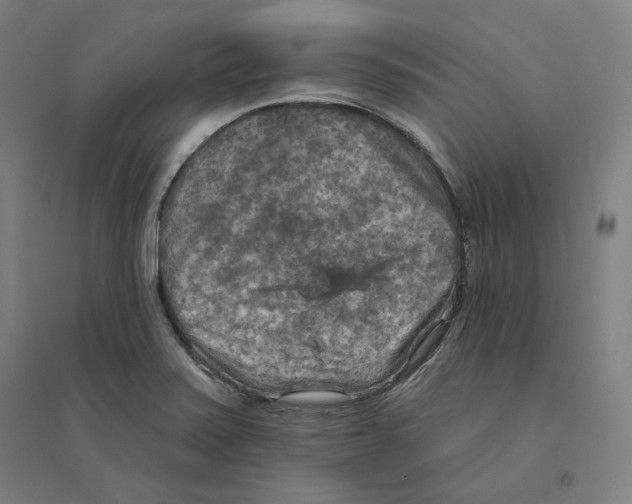 X0000094461371200712061213