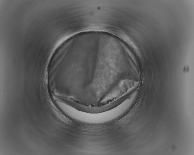 X0000094461372200712061213