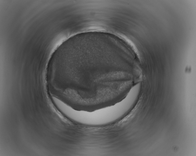 X0000094461373200712061213