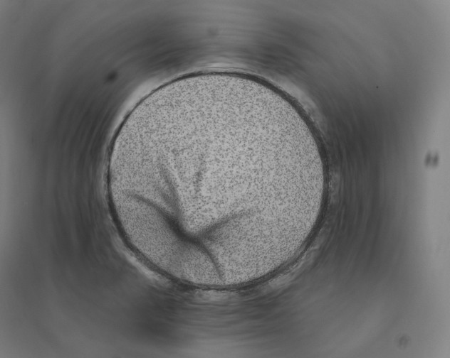 X0000094461374200712061213