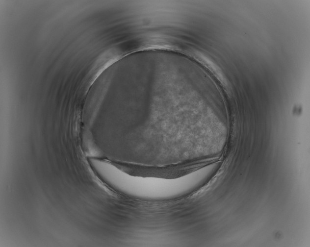 X0000094461377200712061213