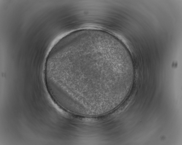 X0000094461379200712061213