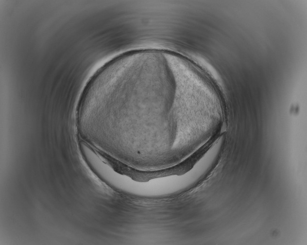 X0000094461380200712061213