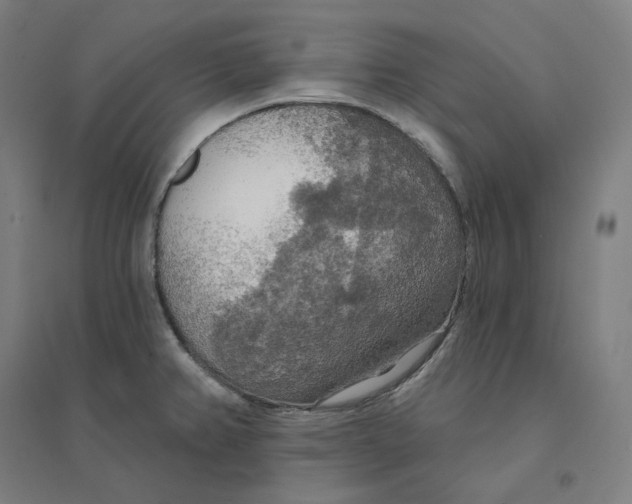 X0000094461382200712061213