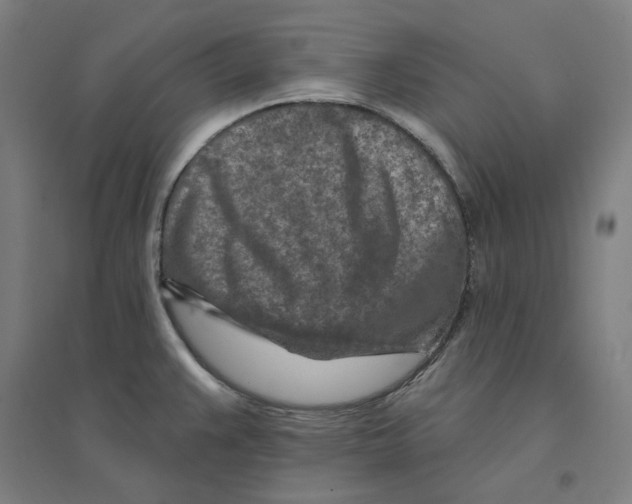 X0000094461383200712061213