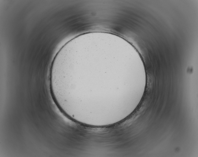 X0000094461387200712061213