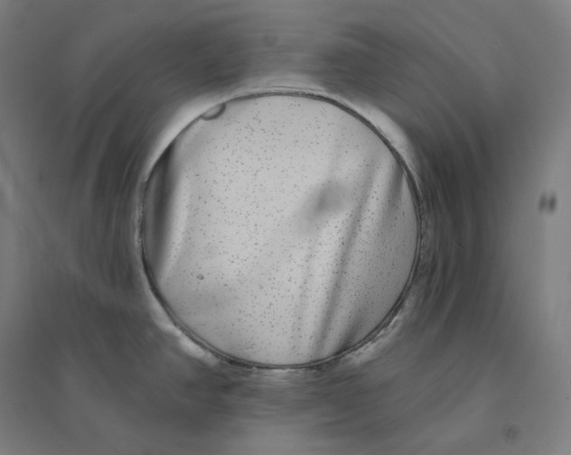 X0000094461390200712061213