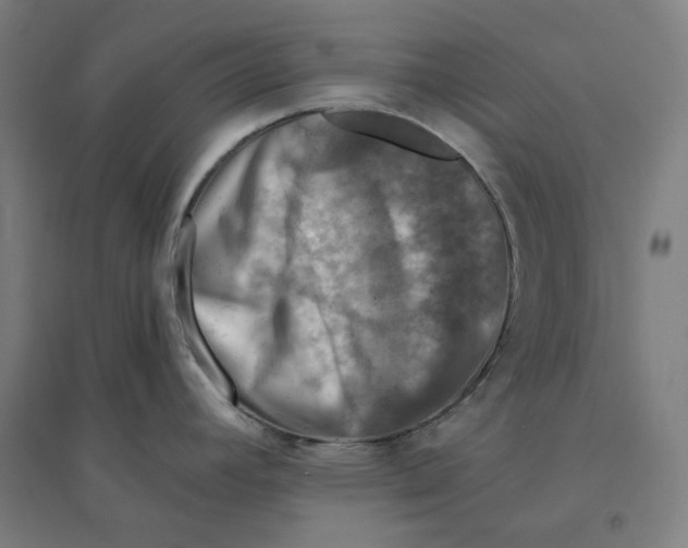 X0000094461392200712061213