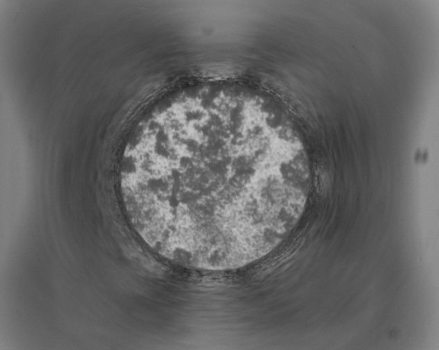 X0000094461393200712061212