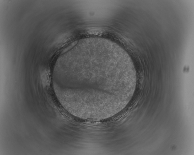 X0000094461394200712061212