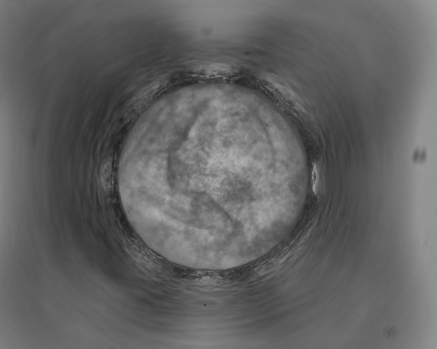 X0000094461395200712061212