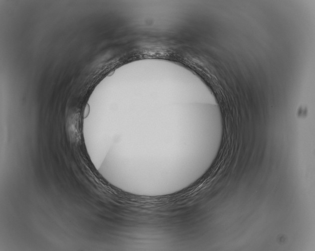 X0000094461396200712061212