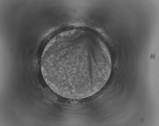 X0000094461398200712061212