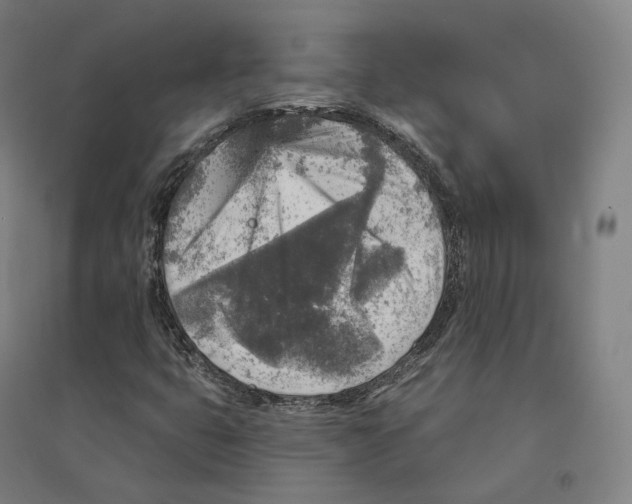 X0000094461399200712061212