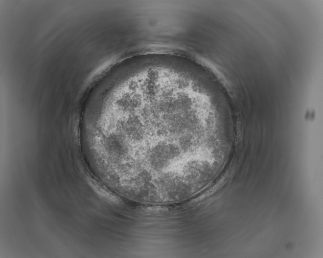 X0000094461403200712061212