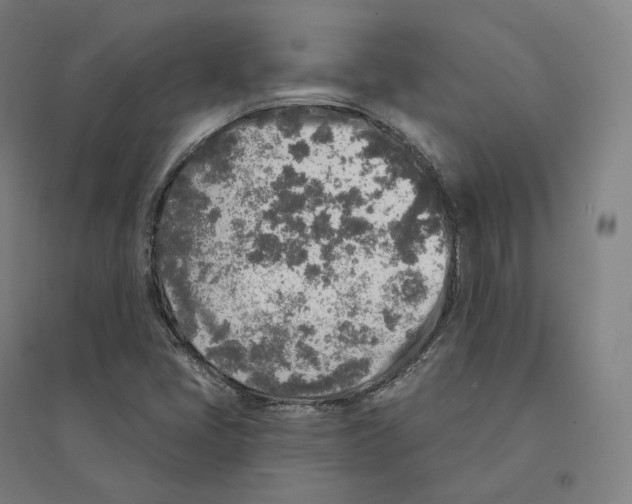 X0000094461405200712061212