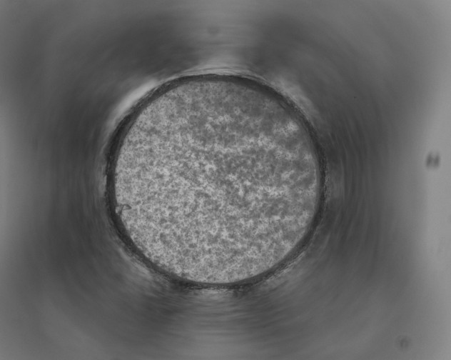 X0000094461406200712061212