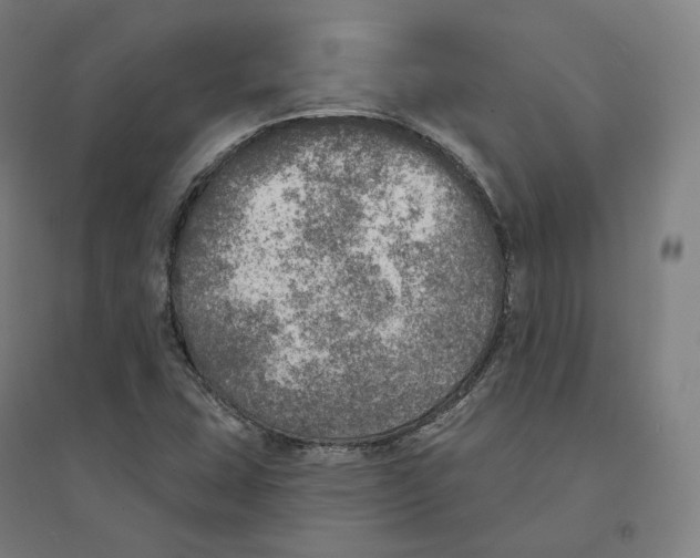 X0000094461407200712061212