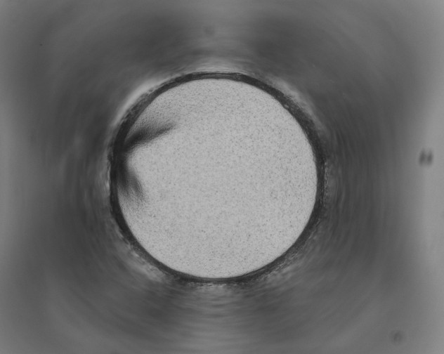 X0000094461408200712061212