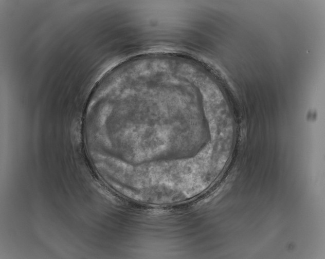 X0000094461409200712061212