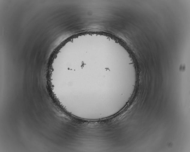 X0000094461410200712061212