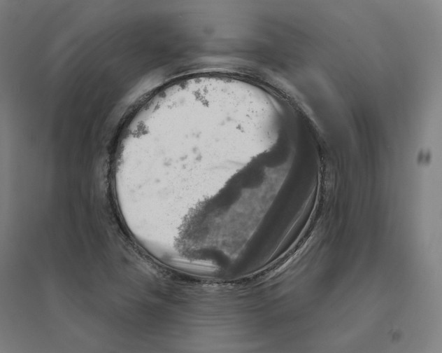 X0000094461411200712061212