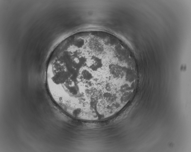 X0000094461413200712061213