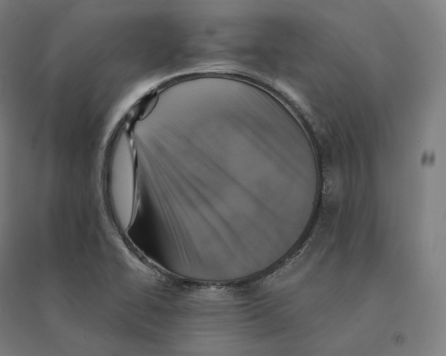 X0000094461414200712061213