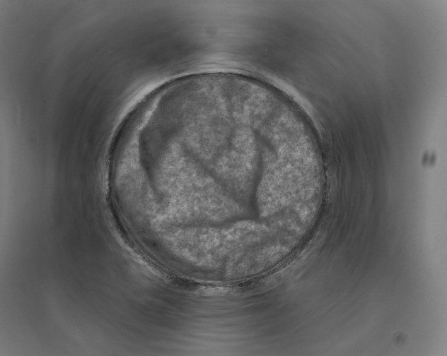 X0000094461415200712061213