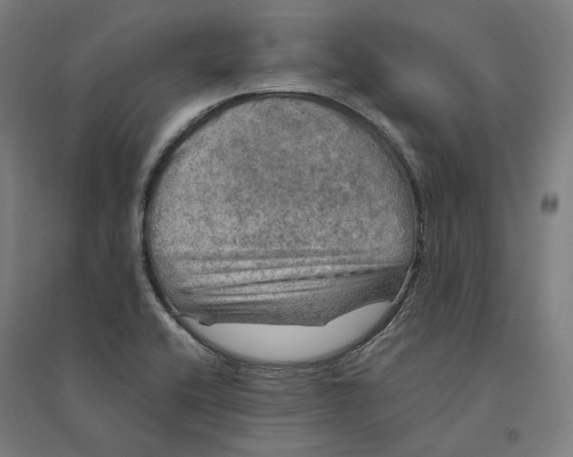 X0000094461416200712061213